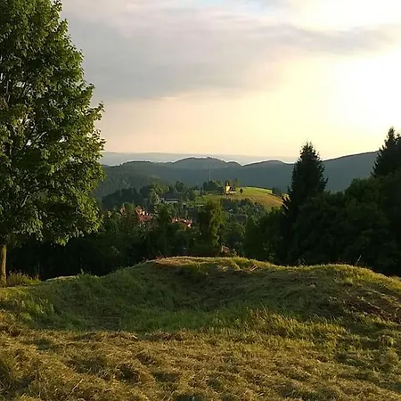 Apartment Schnuckliges Mit Traum-panorama Im Harz